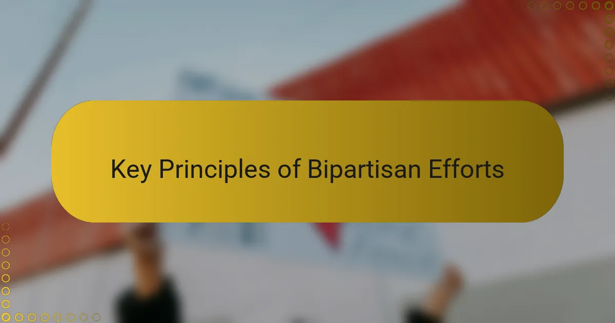Key Principles of Bipartisan Efforts